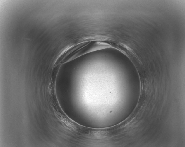 X0000054381163200508051613