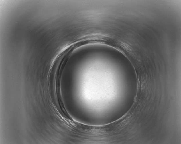 X0000054381164200508051613
