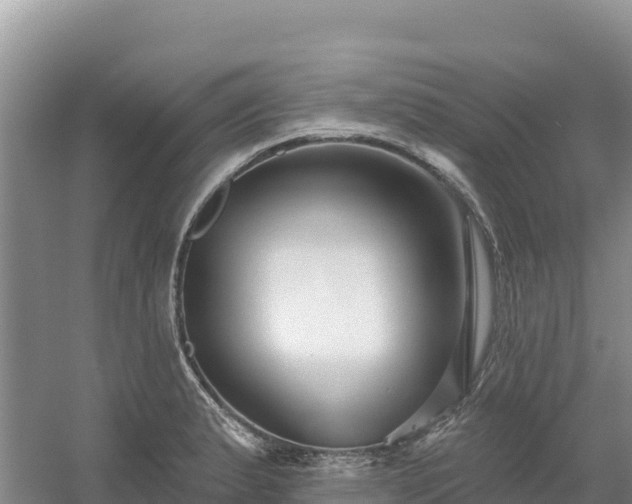 X0000054381183200508051613