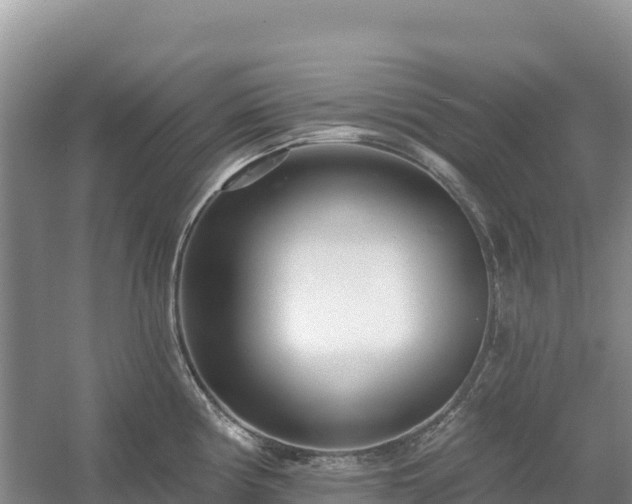 X0000054381194200508051613