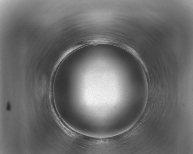 X0000054381195200508051613