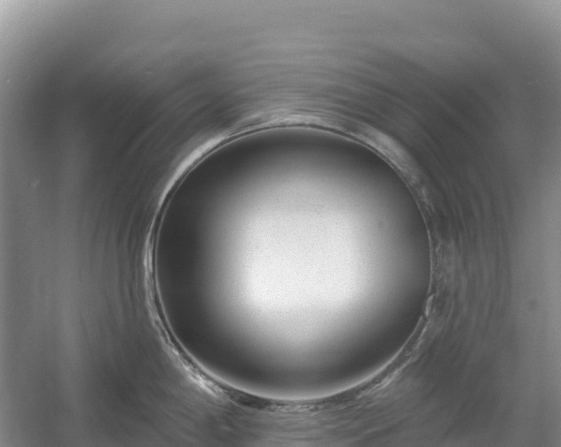 X0000054381198200508051613