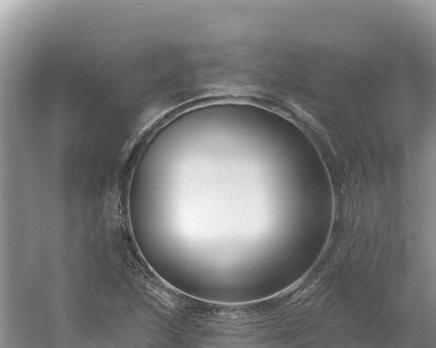 X0000054381215200508051612