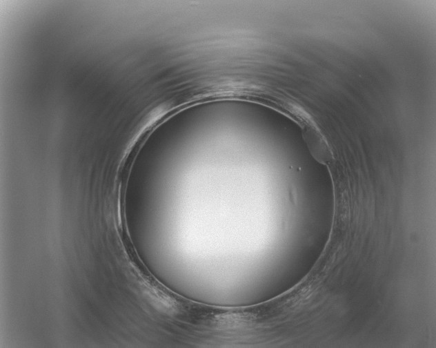 X0000054381227200508051612