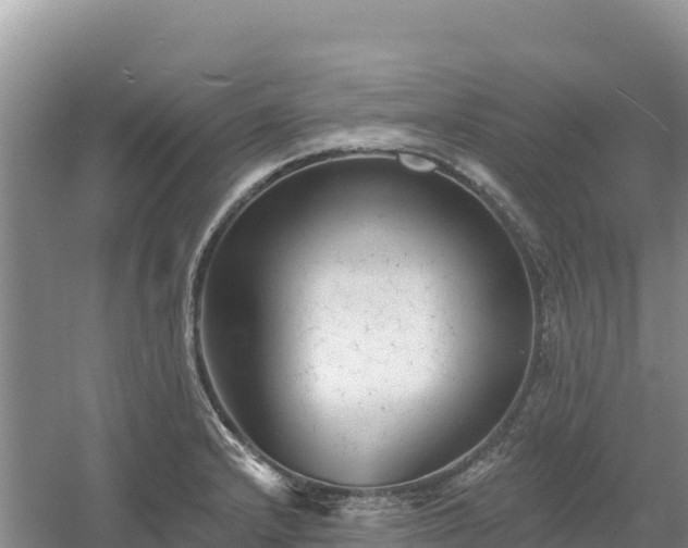 X0000054381232200508051613