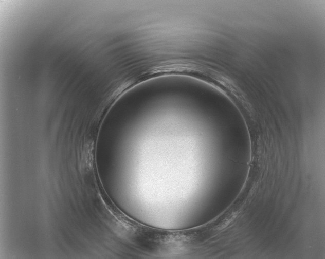 X0000054381233200508051613