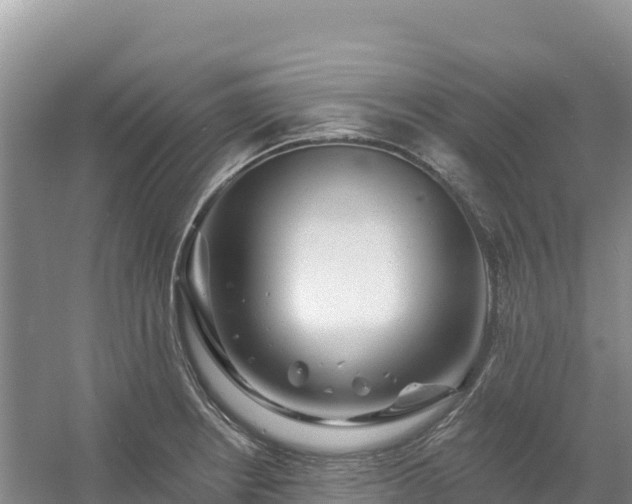 X0000054381234200508051613