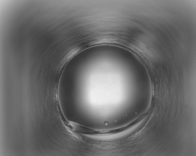 X0000054381241200508051613