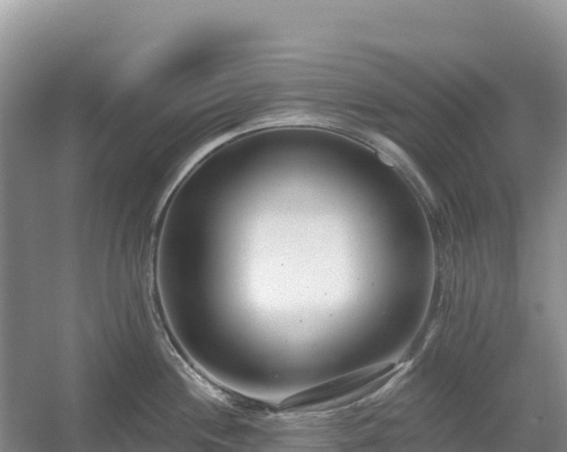 X0000054381244200508051613