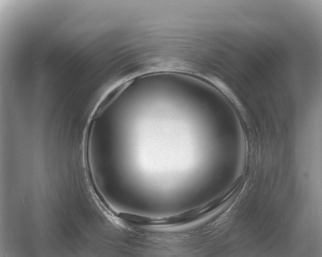 X0000054381246200508051613