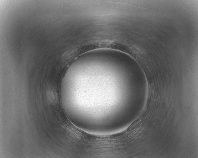 X0000054381252200508051612