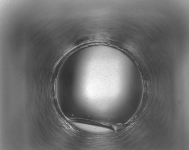 X0000054381260200508051612