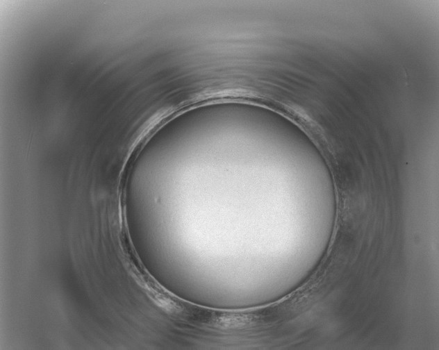 X0000054381274200508051612