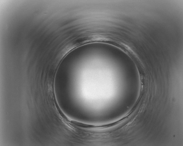 X0000054381281200508051611