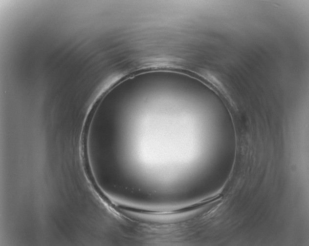 X0000054381285200508051611