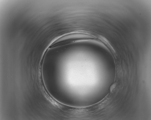 X0000054381292200508051611