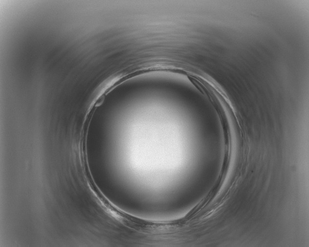 X0000054381293200508051611