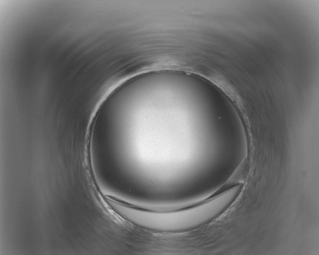X0000054381296200508051611
