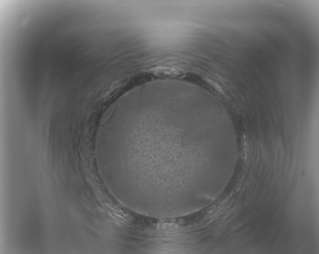 X0000054381297200508051610