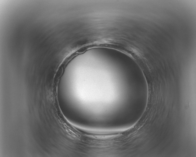 X0000054381308200508051611