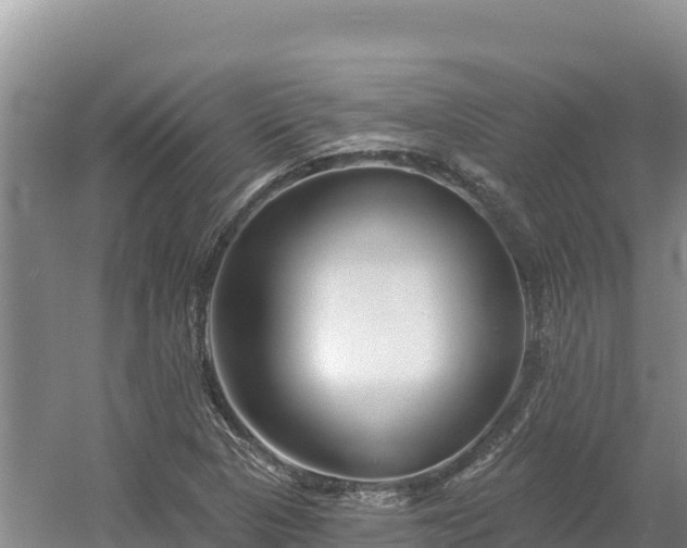 X0000054381313200508051611