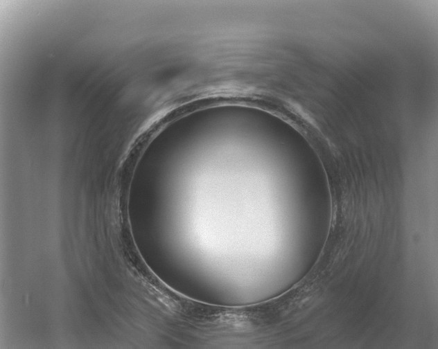 X0000054381315200508051611