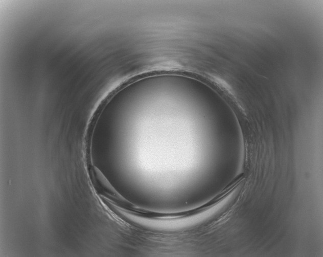 X0000054381326200508051611