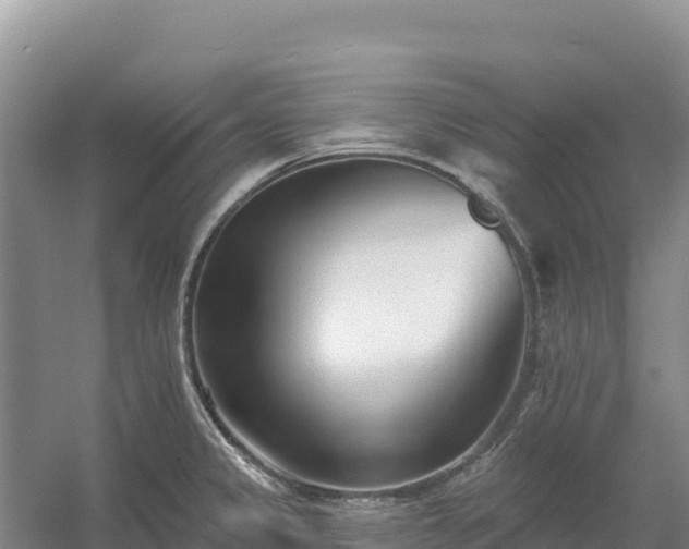 X0000054381333200508051611