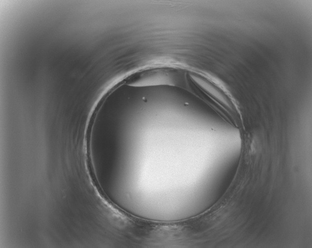 X0000054381335200508051611
