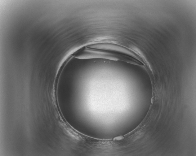 X0000054381336200508051611