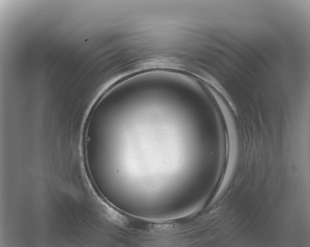 X0000054381339200508051611