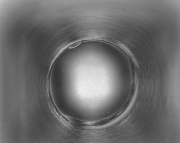 X0000054381340200508051611