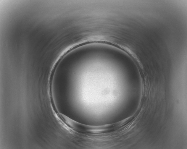 X0000054381342200508051611
