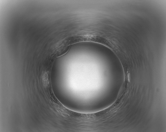 X0000054381347200508051610