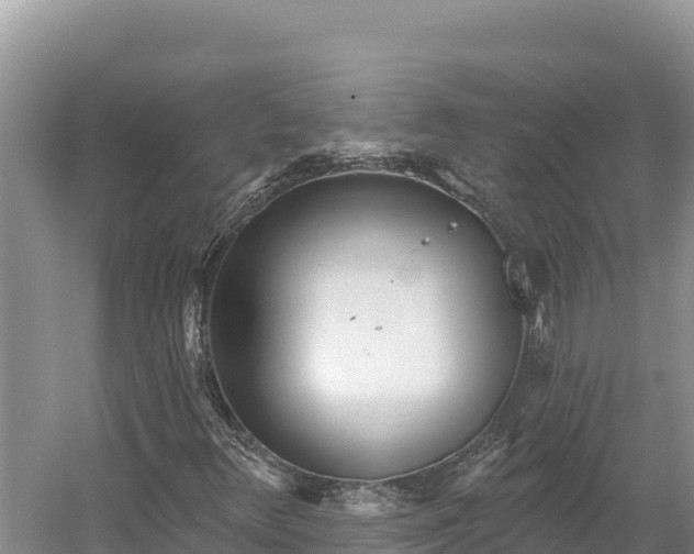 X0000054381348200508051610