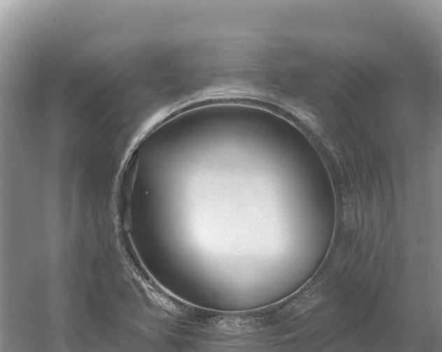 X0000054381366200508051610