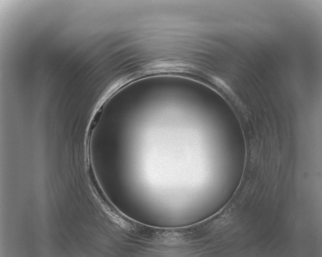 X0000054381370200508051610