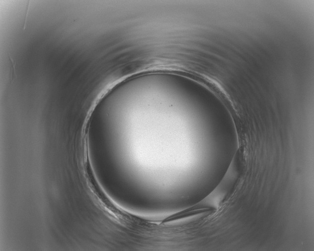 X0000054381371200508051610