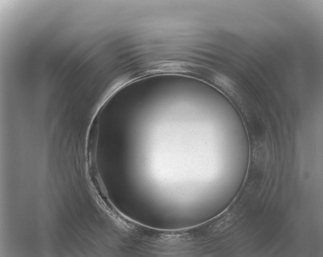 X0000054381378200508051610