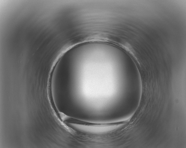 X0000054381379200508051610