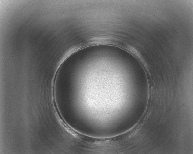 X0000054381386200508051610