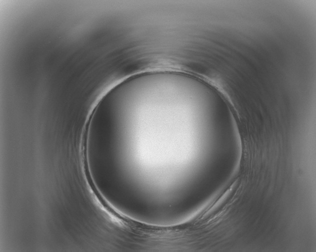 X0000054381387200508051610