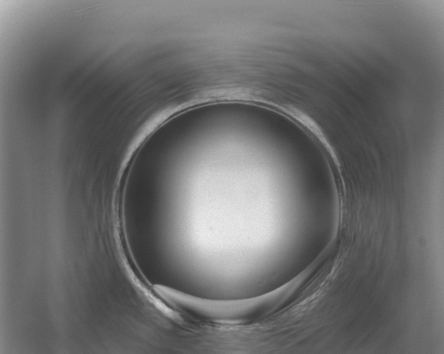 X0000054381389200508051610