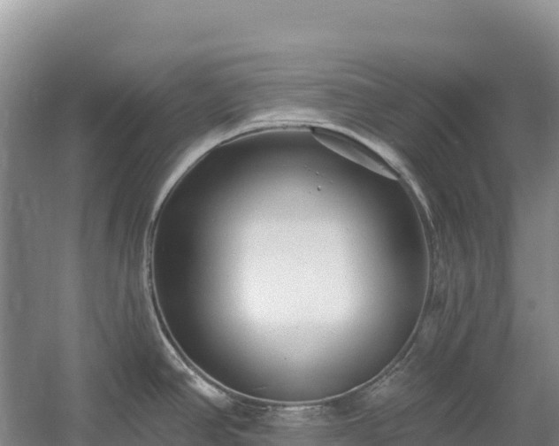 X0000054381390200508051610