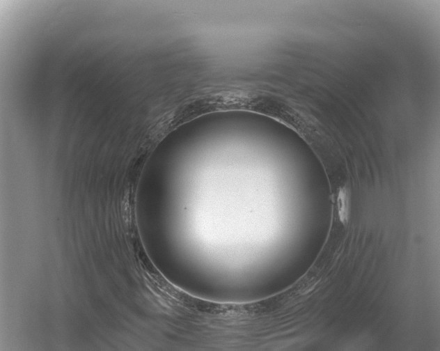 X0000054381395200508051609