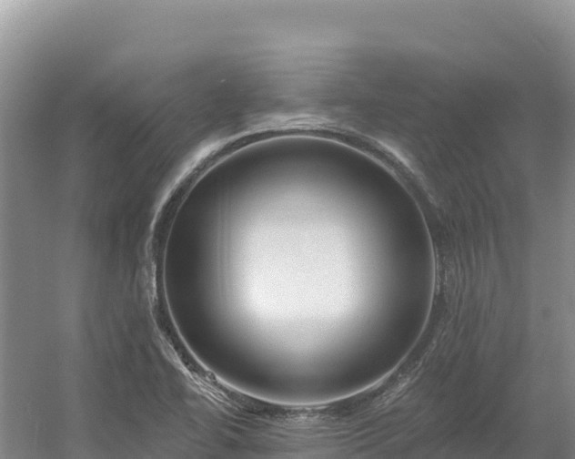 X0000054381414200508051609