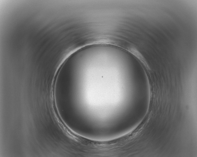 X0000054381436200508051610