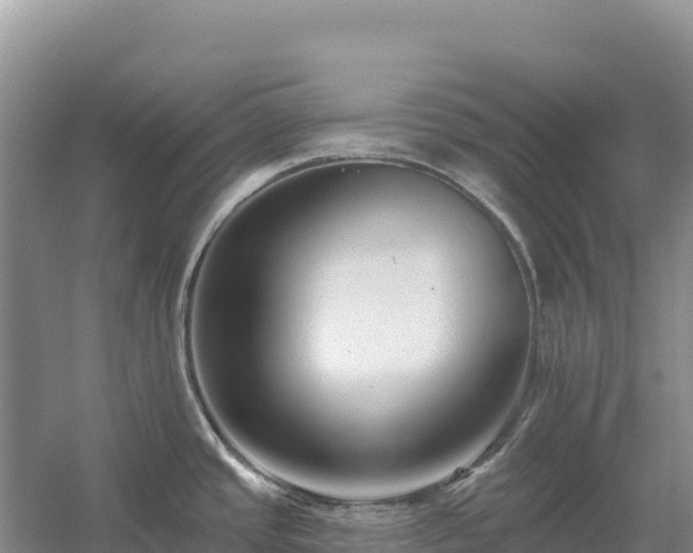 X0000054381437200508051610