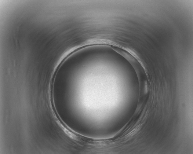 X0000054381438200508051610