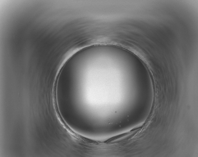 X0000054381440200508051610